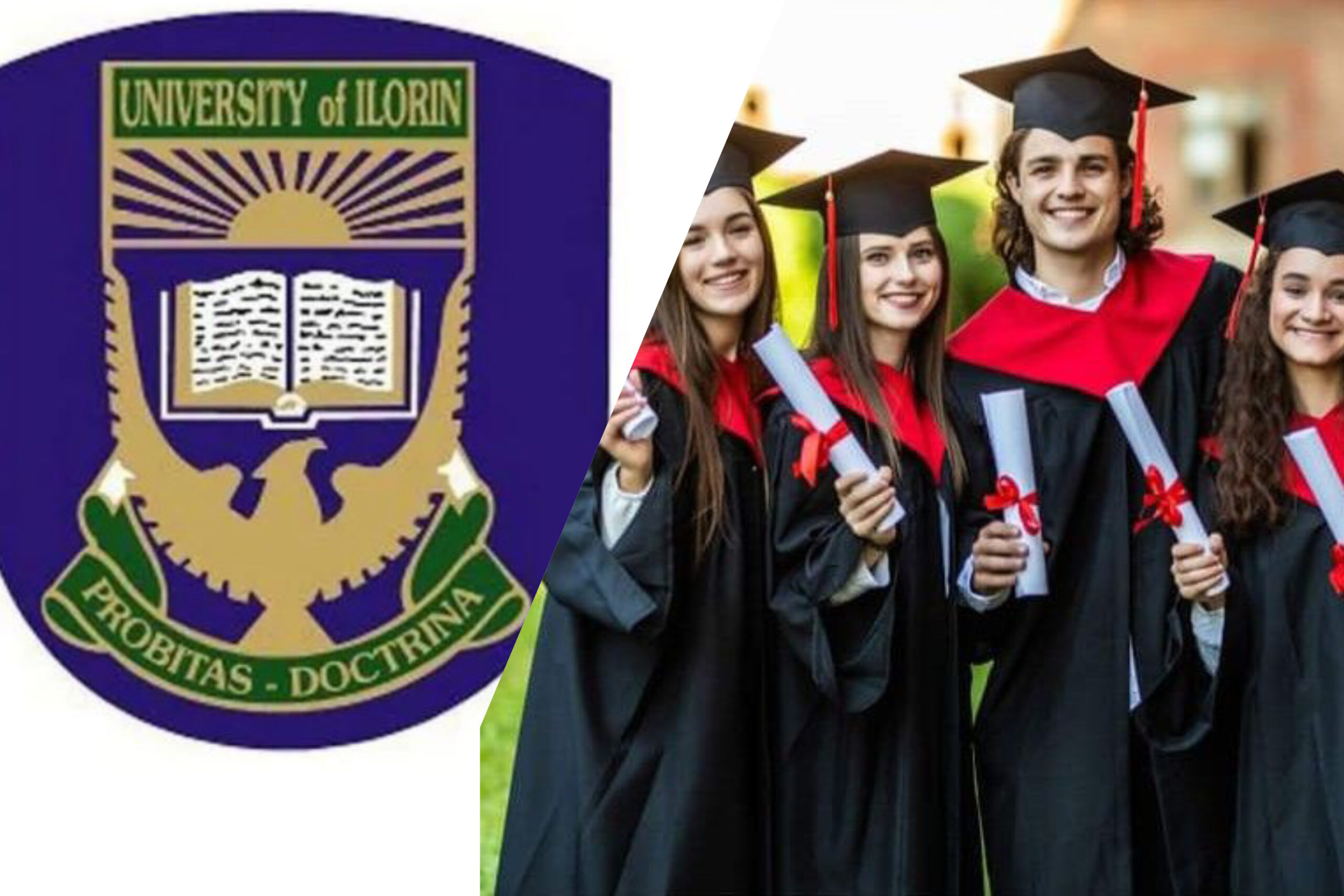 University of Ilorin school fees for all courses