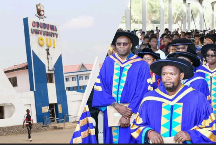 Oduduwa University Courses And Fees 2025/2026