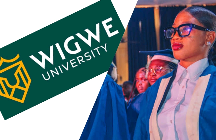 Wigwe University