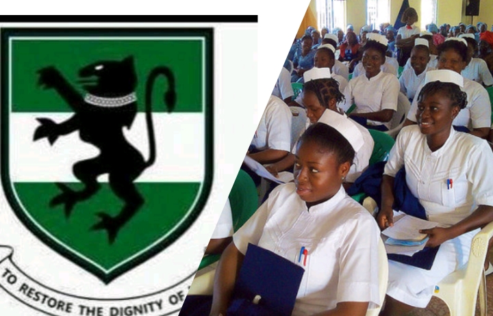 University Of Nigeria, Nsukka (UNN)