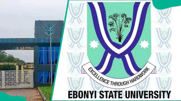 Ebonyi State University School Fees For Medicine