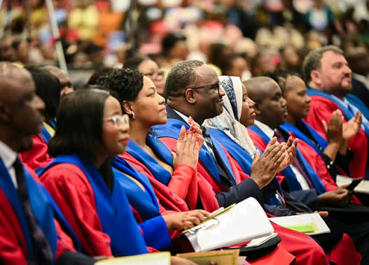 Nelson Mandela University Courses